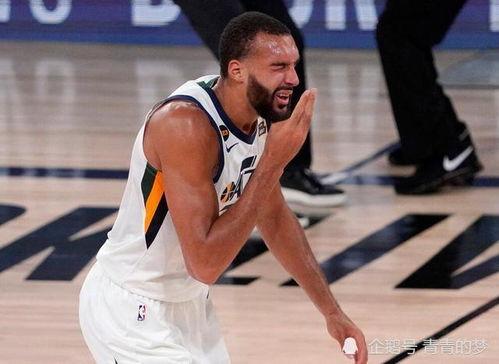 戈贝尔爆料最新消息,揭秘篮球界惊人内幕